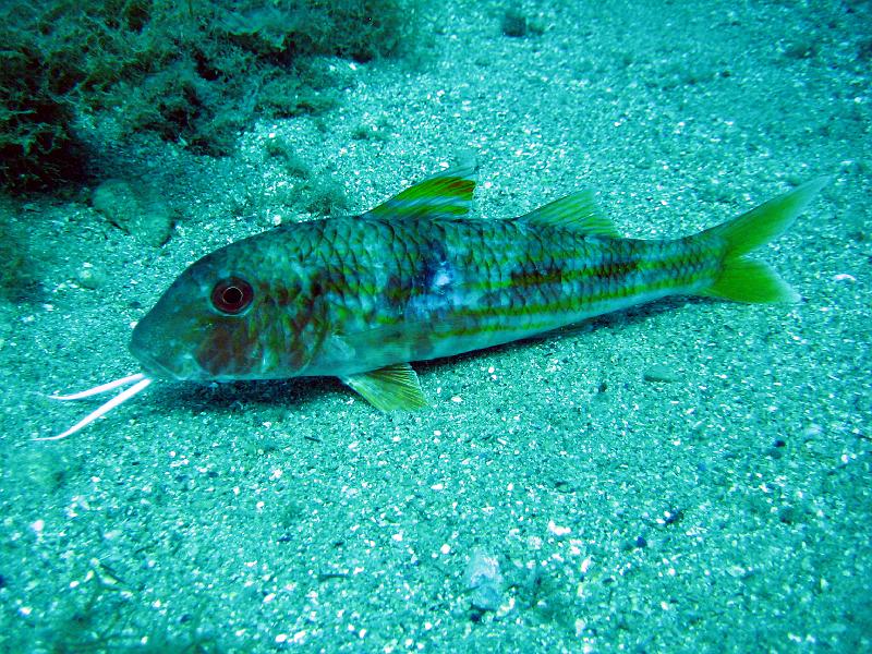 2009-09-08 13-08-32S.JPG